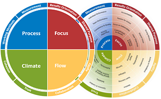 Insights Discovery Discs